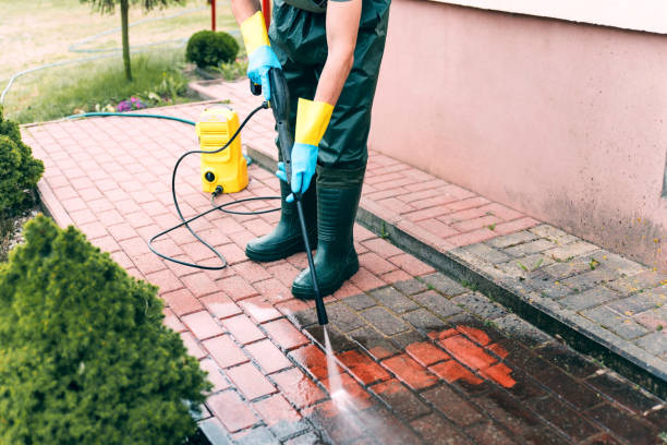 Best Spring Cleaning  in Silver Springs Shores, FL